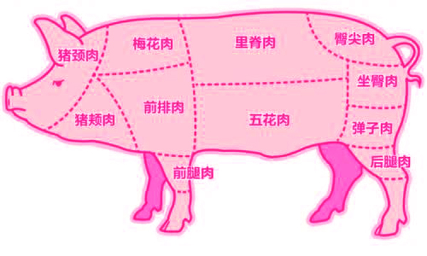 一張圖教你如何辨別不同部位豬肉，買到對的豬肉